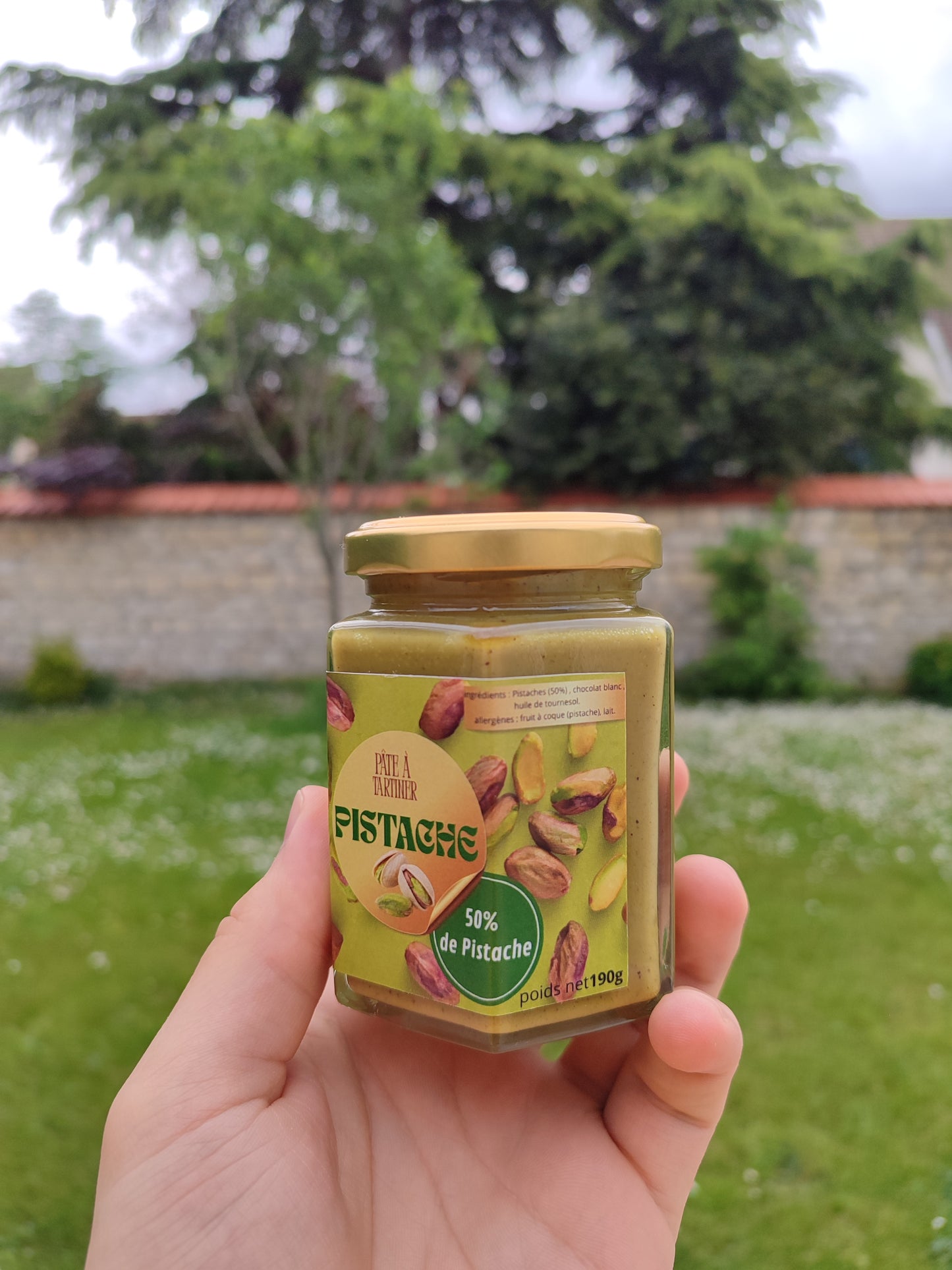 Pâte à tartiner : pistache (190g)
