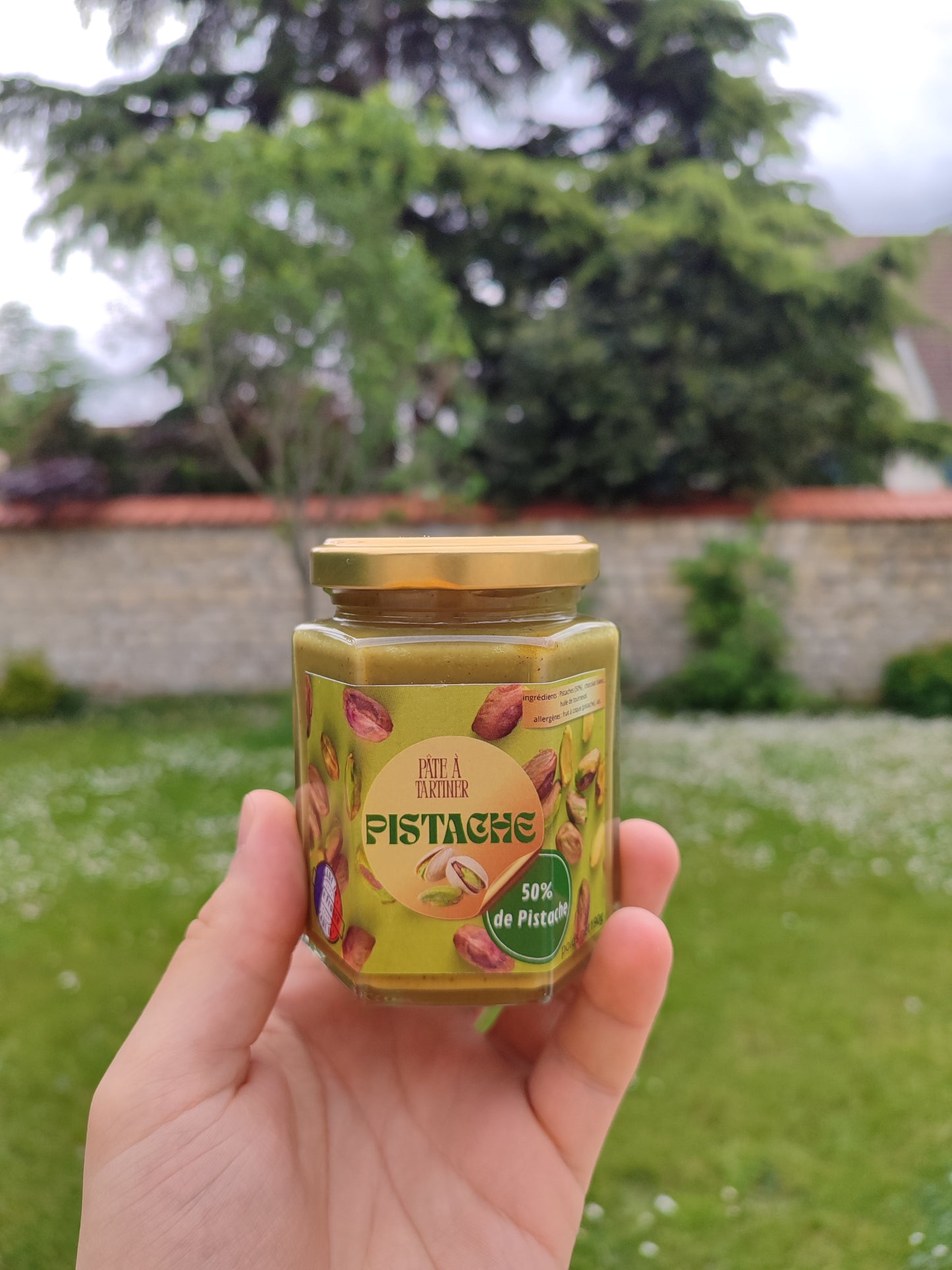 Pâte à tartiner : pistache (190g)